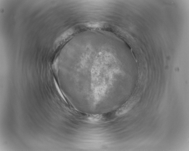 X0000059230720200510281905