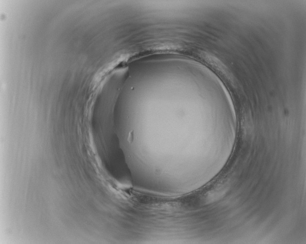 X0000059230721200510281904