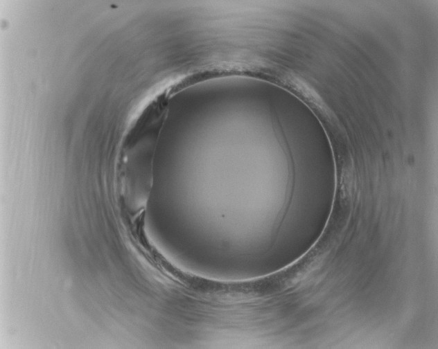 X0000059230722200510281904