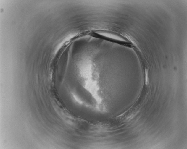 X0000059230723200510281904