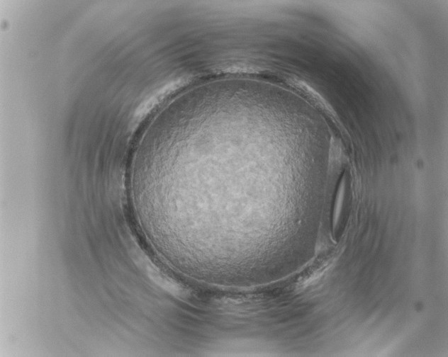 X0000059230725200510281904