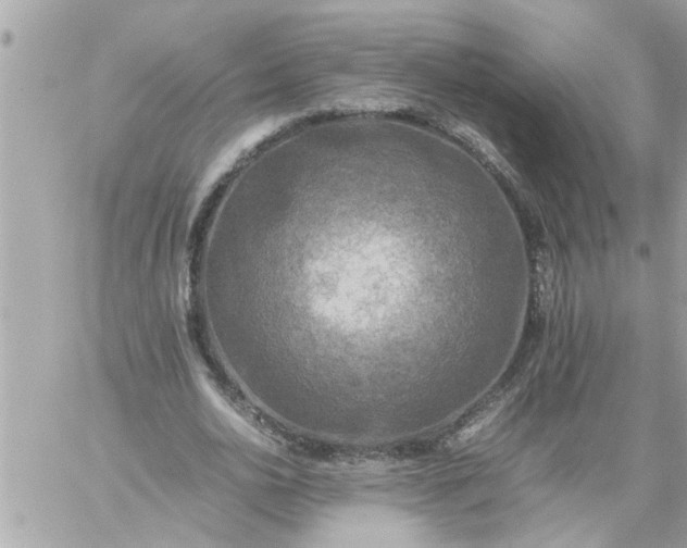 X0000059230726200510281904