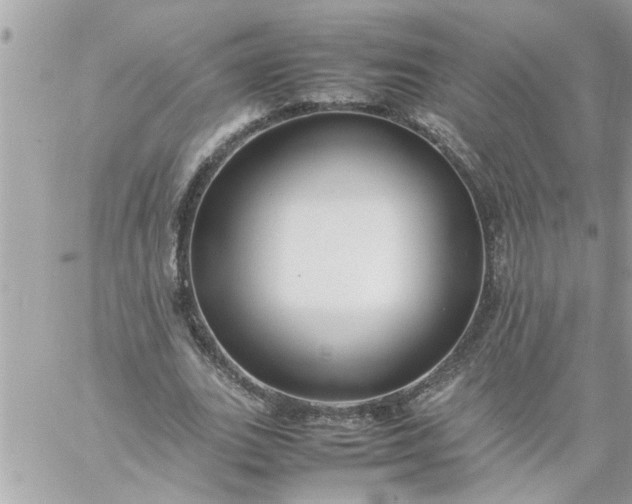 X0000059230727200510281904