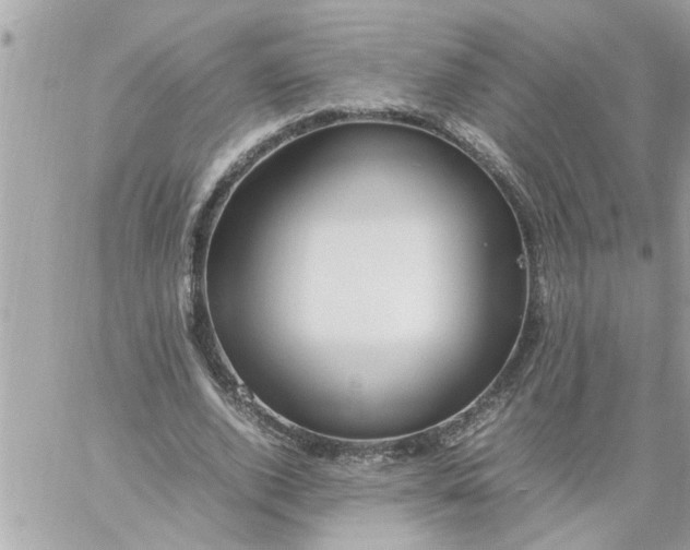 X0000059230728200510281904