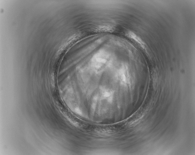 X0000059230729200510281904