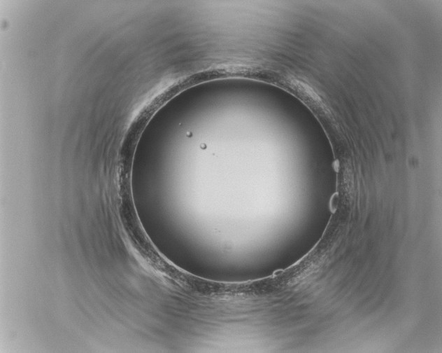 X0000059230730200510281904