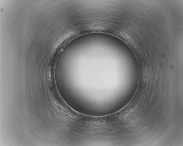 X0000059230731200510281904