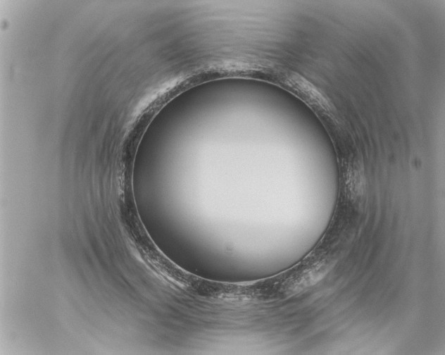 X0000059230732200510281904