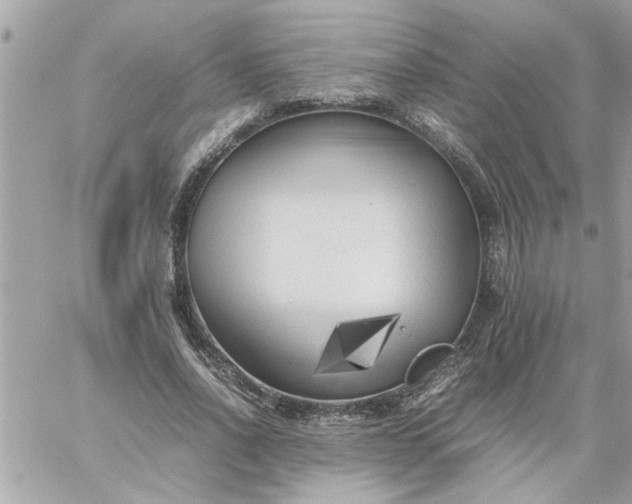 X0000059230734200510281905