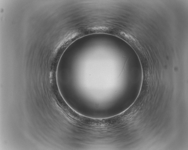 X0000059230735200510281905