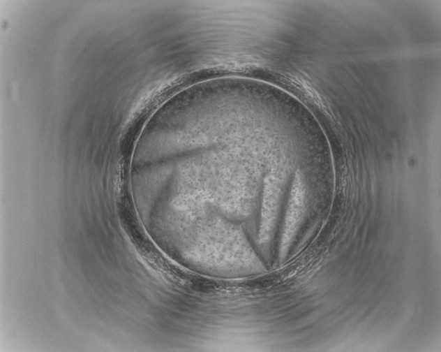 X0000059230736200510281905