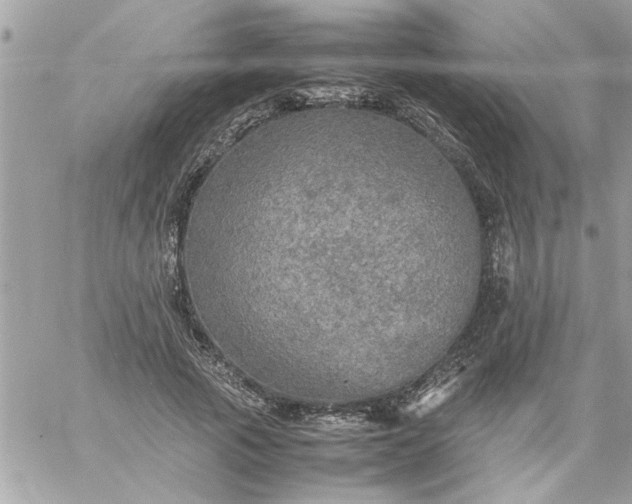 X0000059230737200510281905