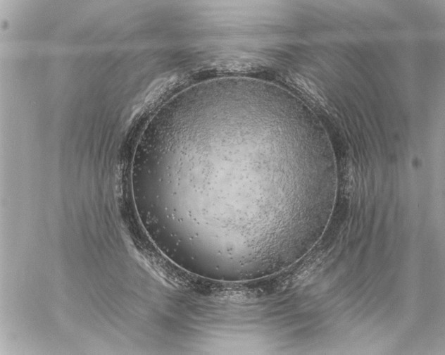 X0000059230738200510281905