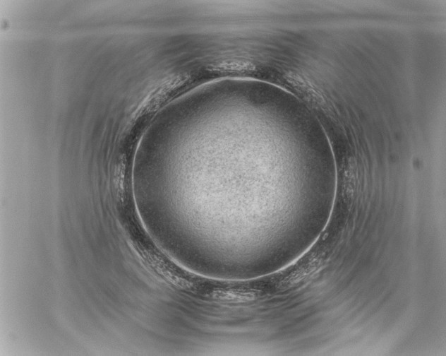 X0000059230739200510281905