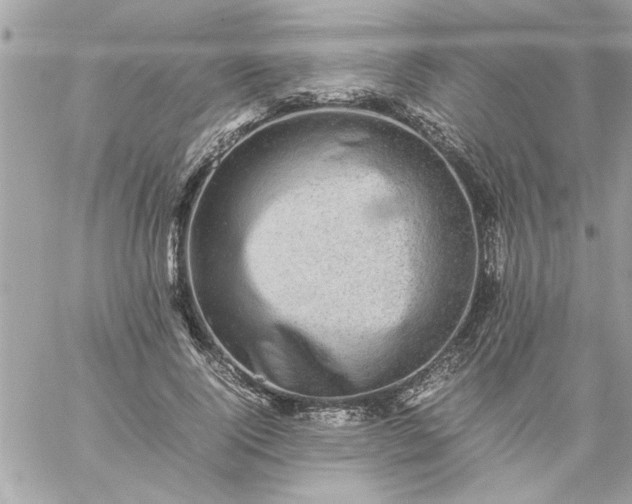 X0000059230740200510281905