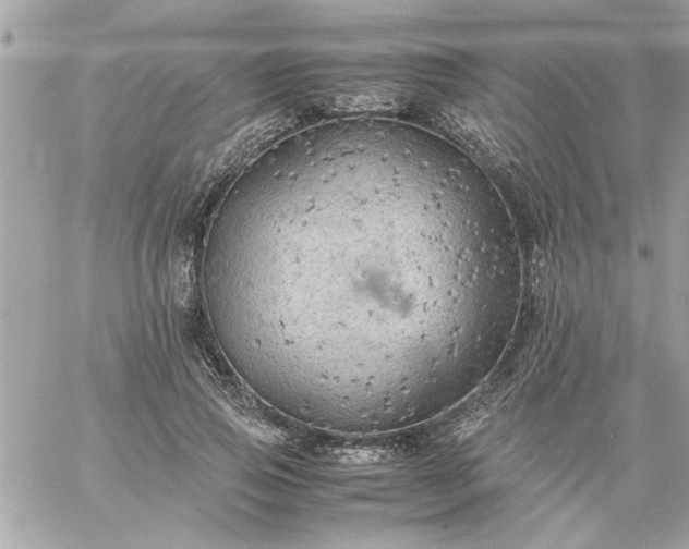 X0000059230741200510281905