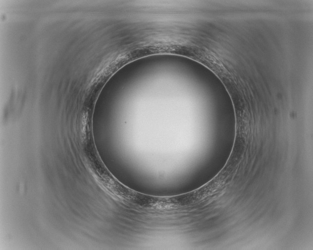 X0000059230742200510281905