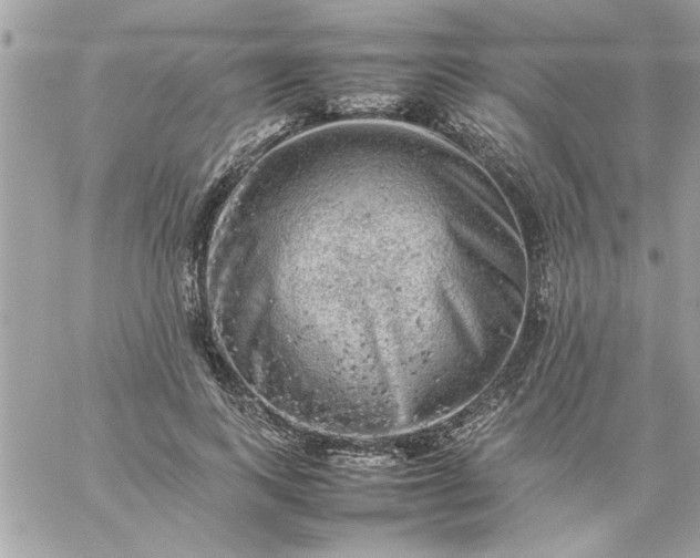 X0000059230743200510281905