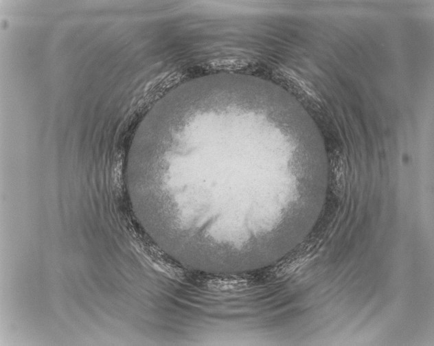 X0000059230745200510281905