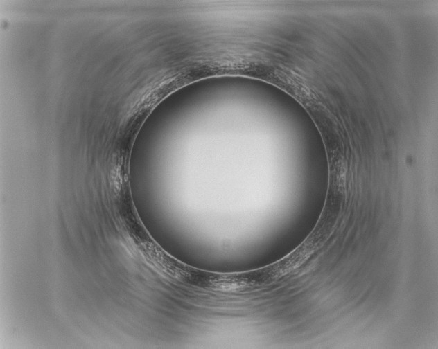 X0000059230746200510281905