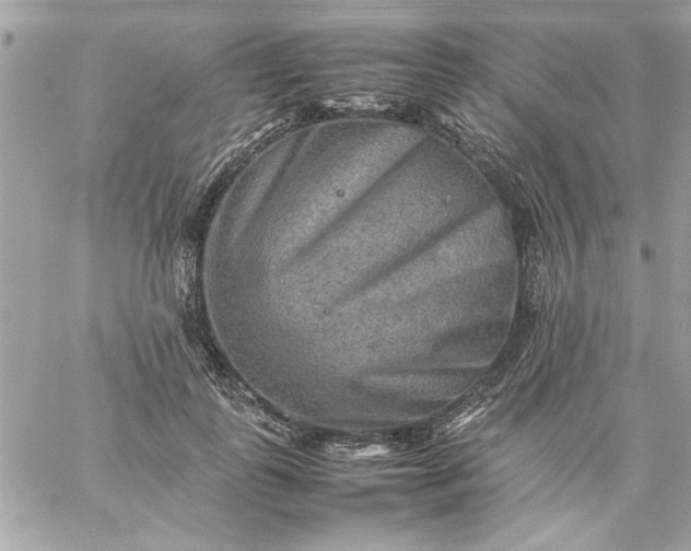 X0000059230747200510281905