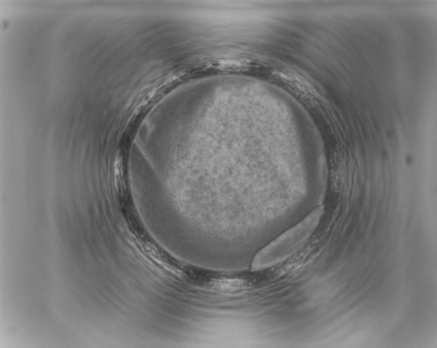 X0000059230748200510281905