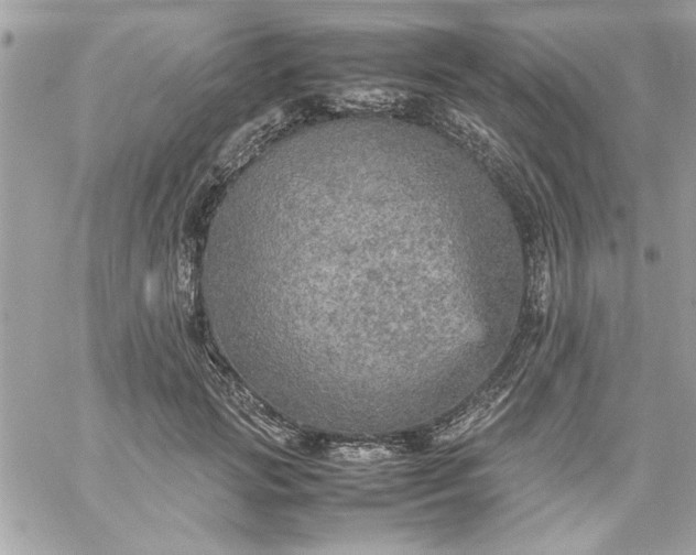 X0000059230749200510281905