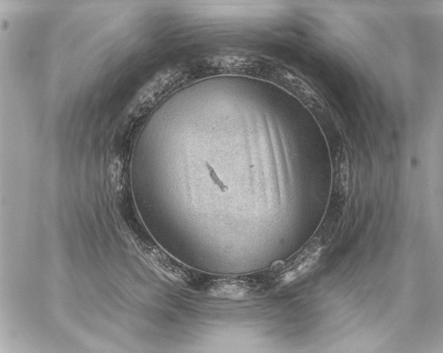 X0000059230750200510281905