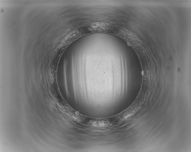 X0000059230751200510281905