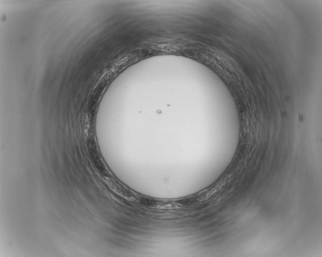 X0000059230752200510281905