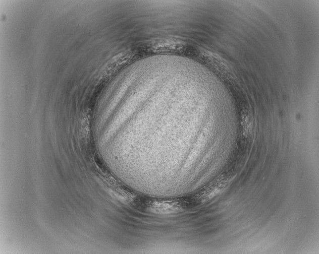 X0000059230753200510281905