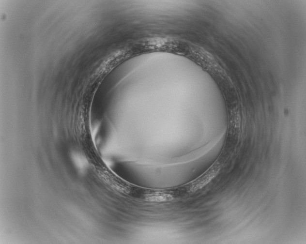 X0000059230754200510281905