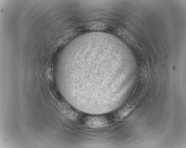 X0000059230755200510281905