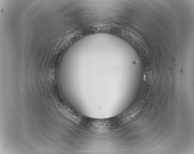 X0000059230756200510281905