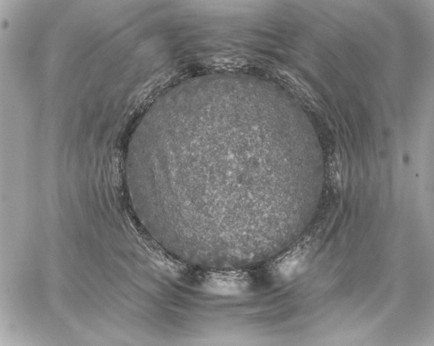 X0000059230757200510281905