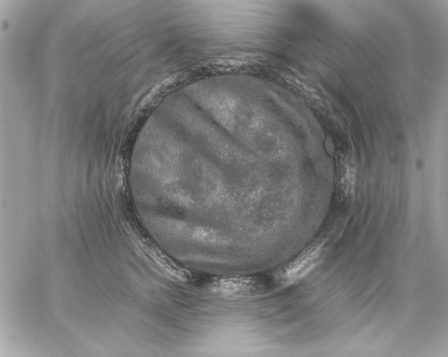 X0000059230758200510281905