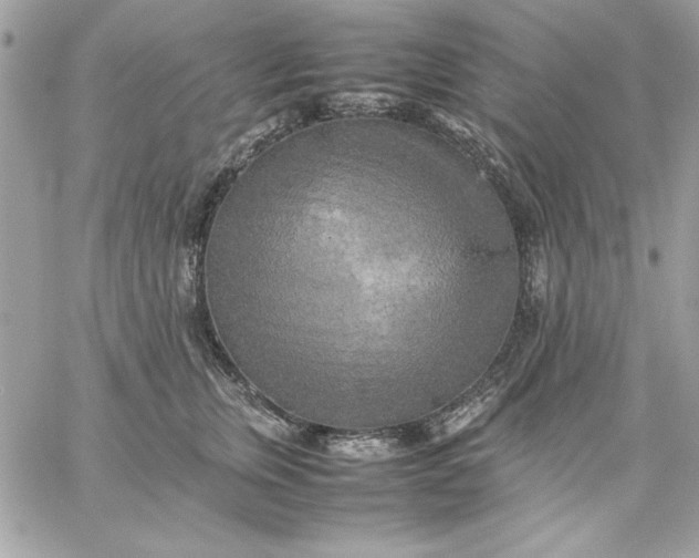 X0000059230759200510281905