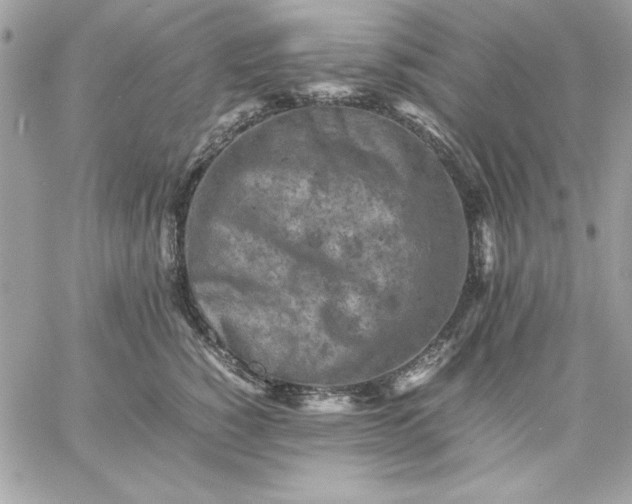 X0000059230760200510281905