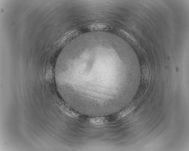 X0000059230761200510281905