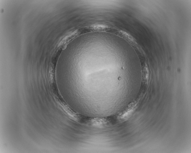 X0000059230762200510281905