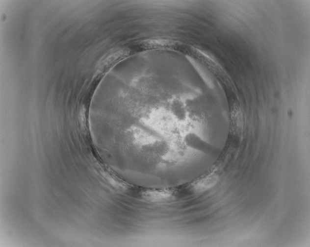 X0000059230765200510281905