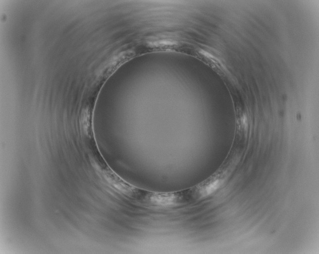 X0000059230767200510281905