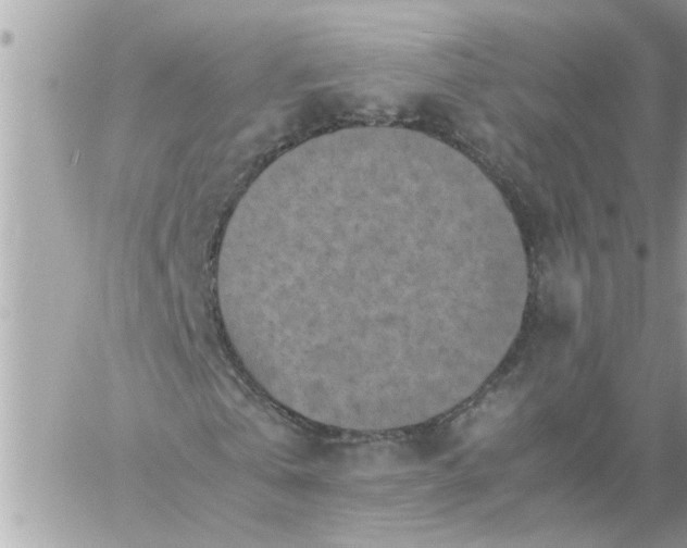 X0000059230769200510281904