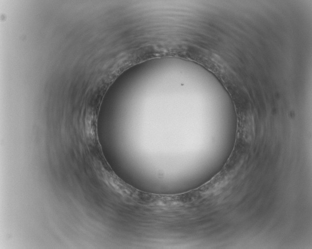 X0000059230770200510281904