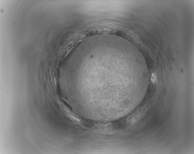 X0000059230771200510281904