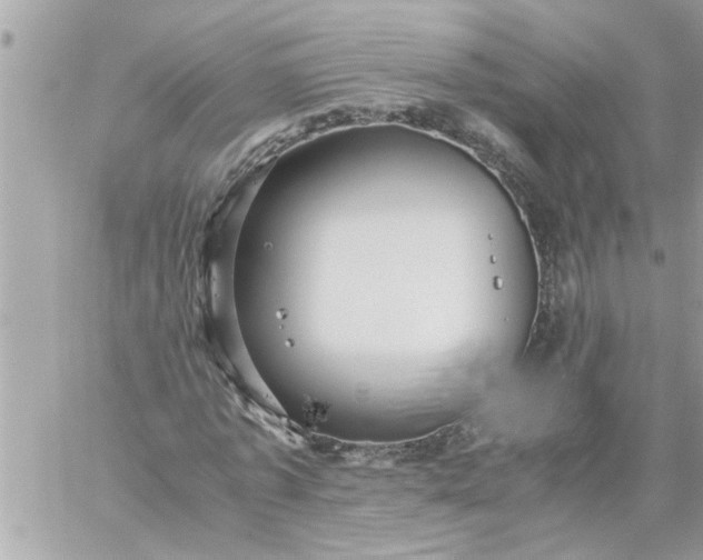 X0000059230773200510281904