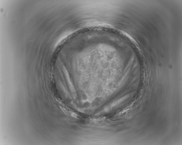 X0000059230775200510281904