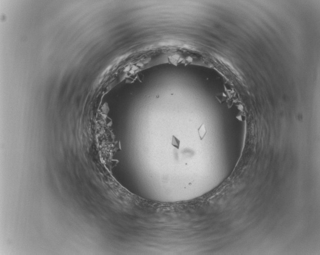 X0000059230776200510281904