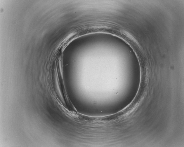 X0000059230777200510281904