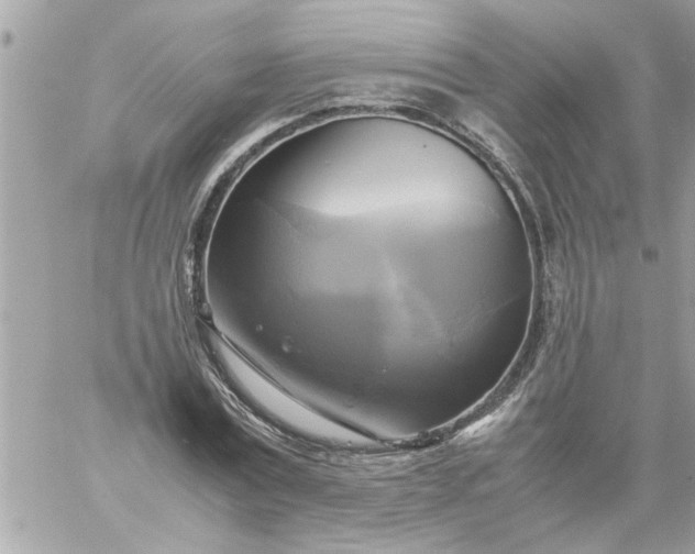 X0000059230779200510281904